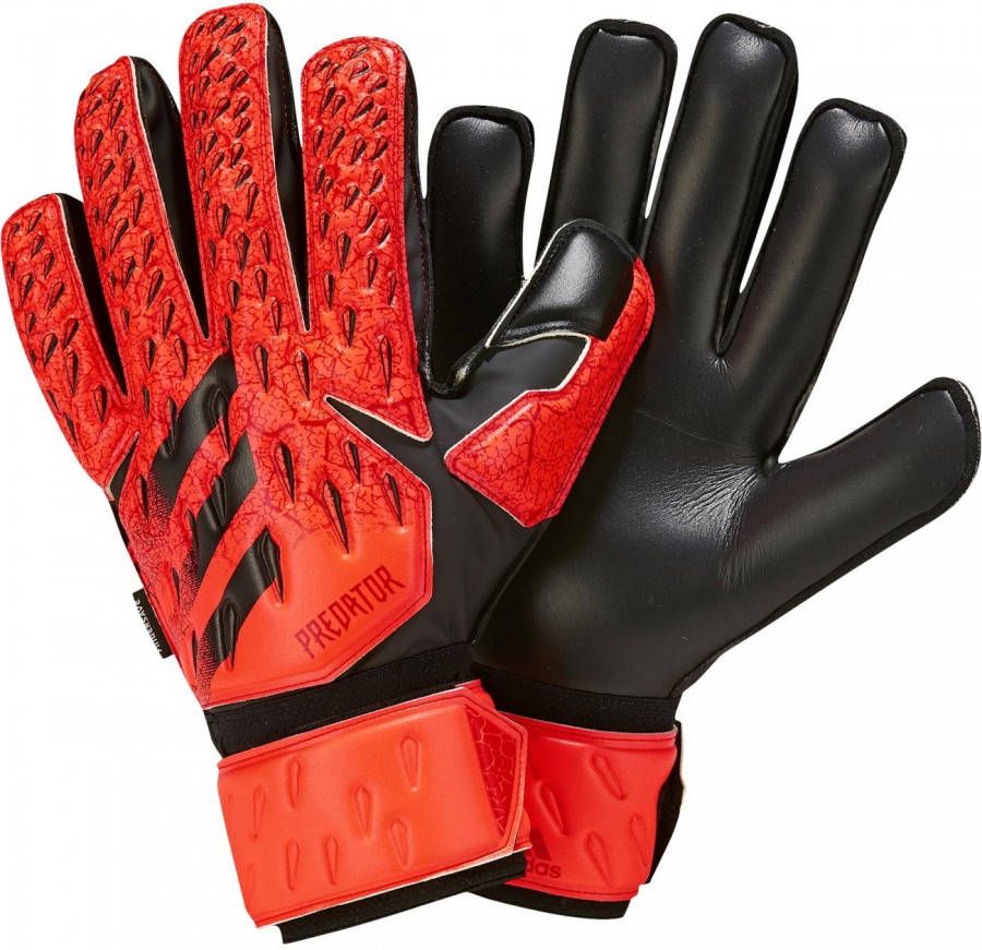 adidas predator goalkeeper match keepershandschoenen rood heren